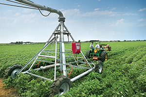 4Wheel_Soybeans