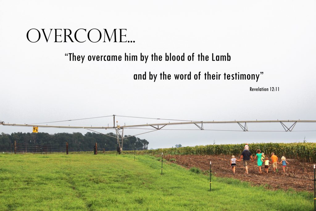 Zimmatic Center Pivot Irrigation Northwest Indiana Goetz Irrigation